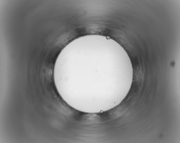 X0000091660427200709061024