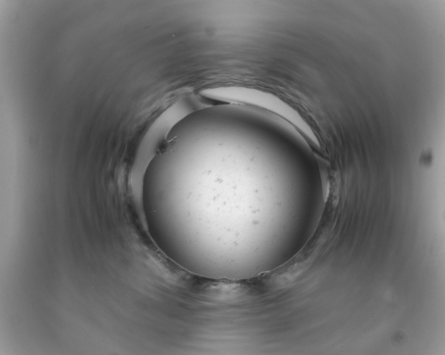 X0000091660428200709061024