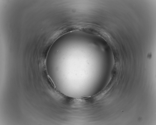 X0000091660429200709061024