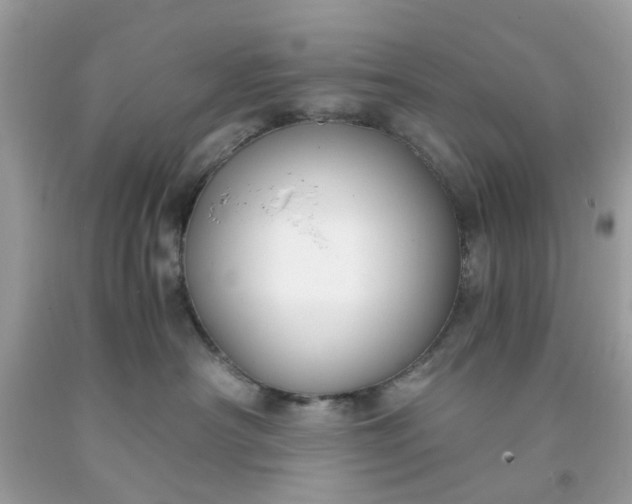 X0000091660430200709061024