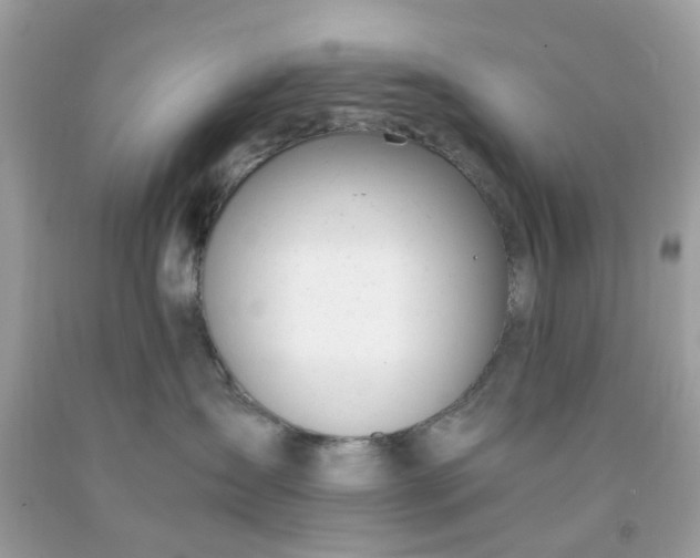 X0000091660431200709061024