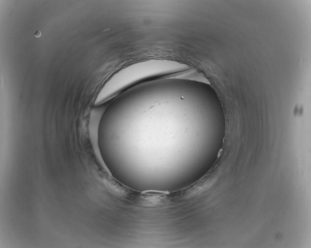 X0000091660432200709061024