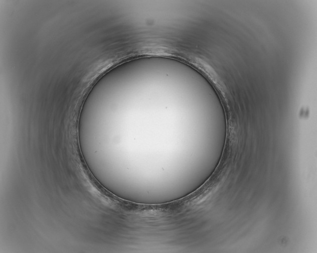 X0000091660433200709061023