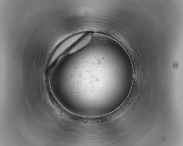 X0000091660434200709061023