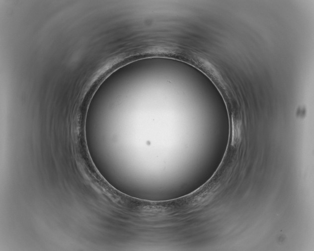 X0000091660435200709061023