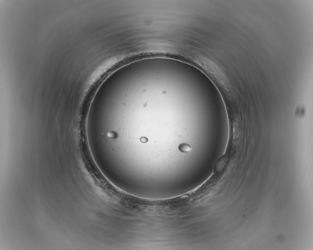 X0000091660436200709061023