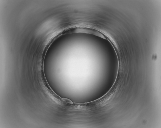 X0000091660437200709061024