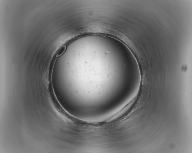 X0000091660438200709061024