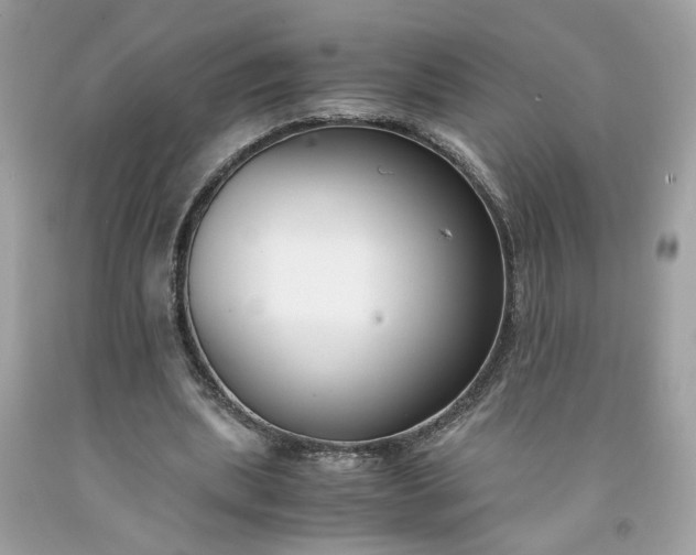 X0000091660439200709061024