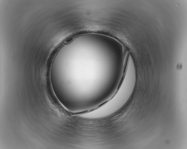 X0000091660440200709061024