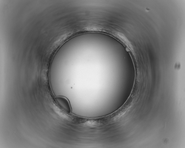 X0000091660441200709061024