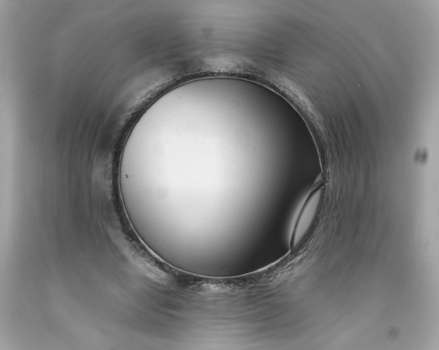 X0000091660442200709061024