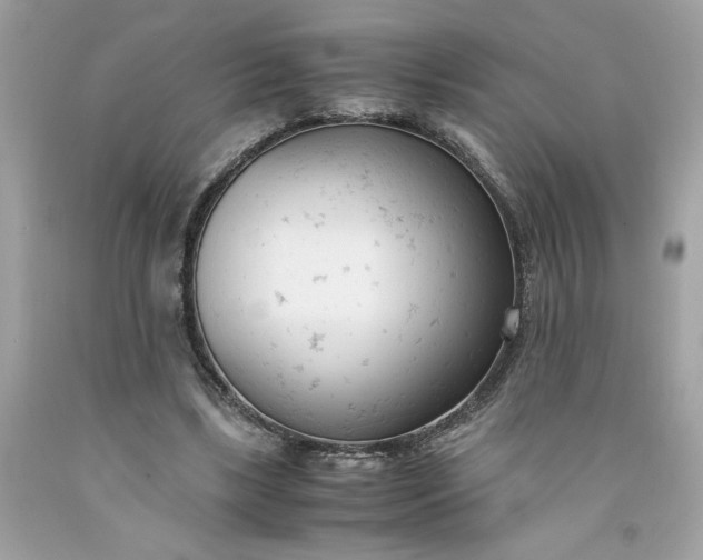 X0000091660443200709061024