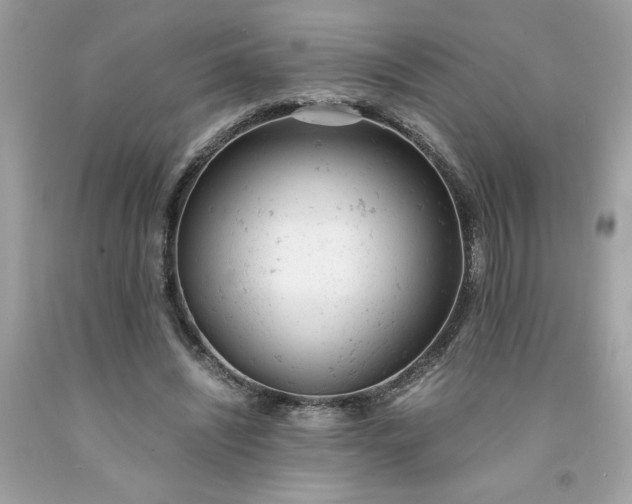 X0000091660444200709061024