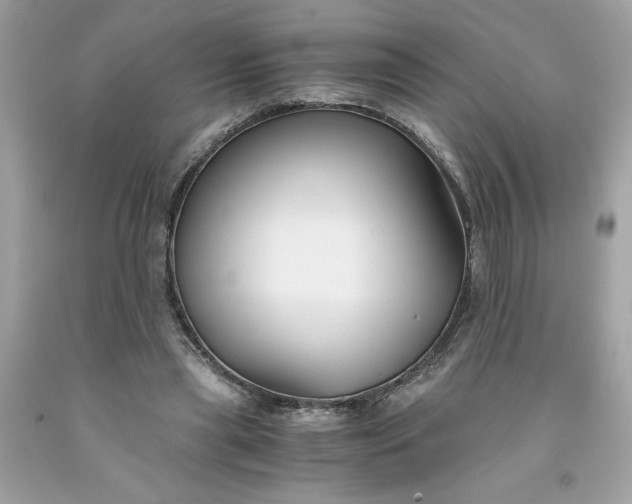 X0000091660445200709061024