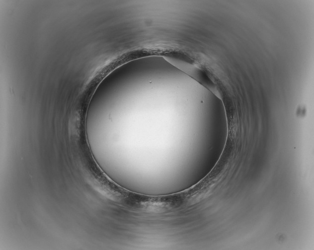 X0000091660448200709061024