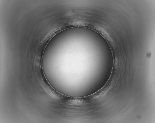 X0000091660449200709061024