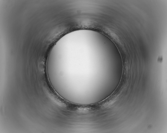 X0000091660450200709061024