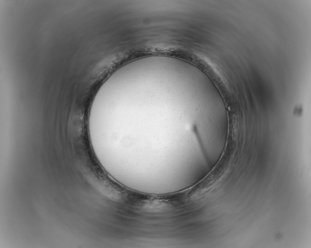 X0000091660451200709061024