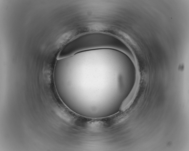 X0000091660452200709061024