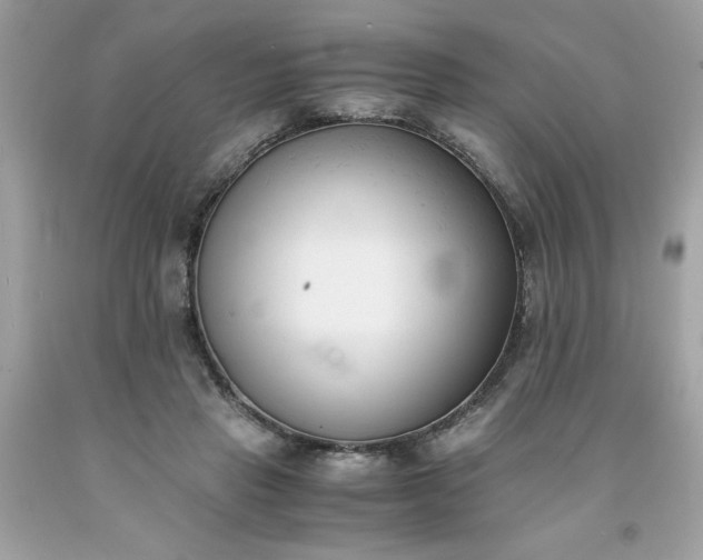 X0000091660453200709061024