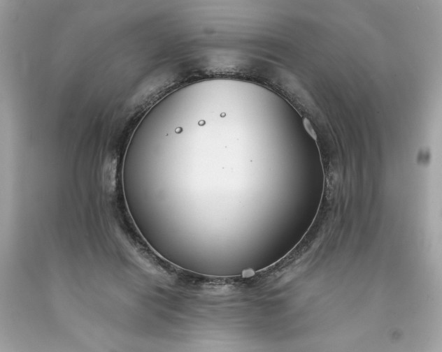 X0000091660454200709061024