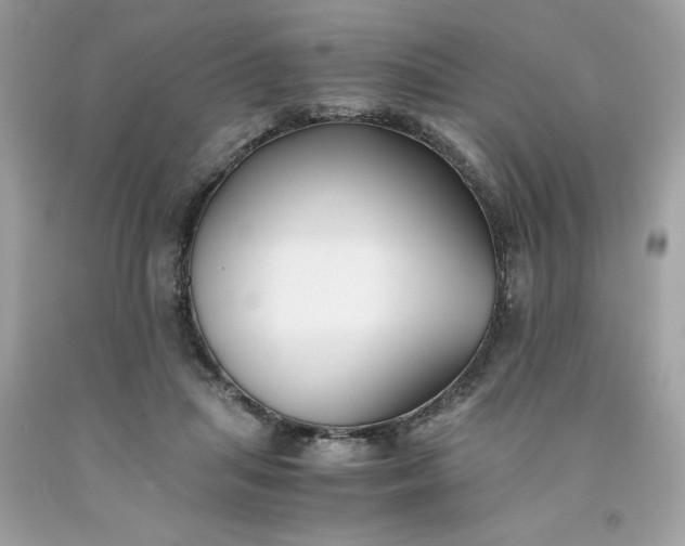 X0000091660455200709061024