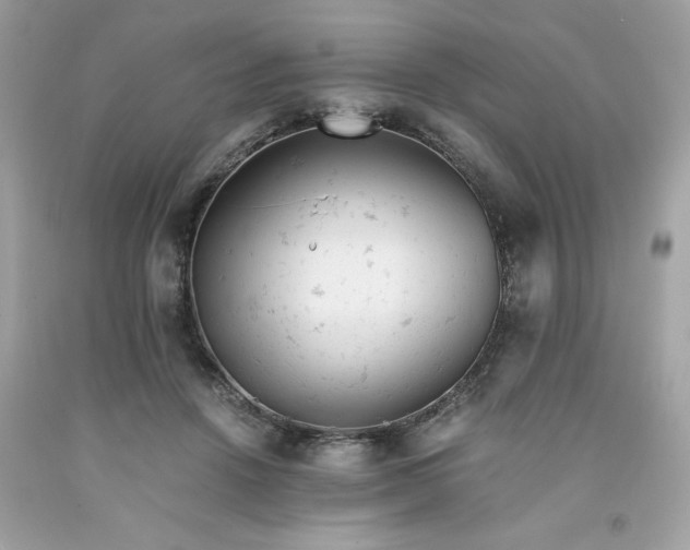 X0000091660456200709061024