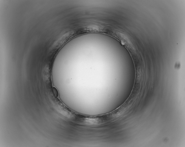 X0000091660457200709061024