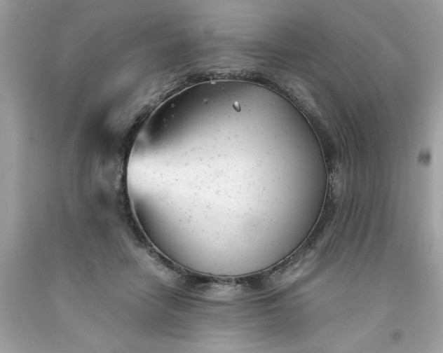 X0000091660458200709061024