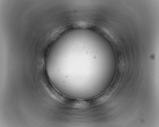 X0000091660459200709061024