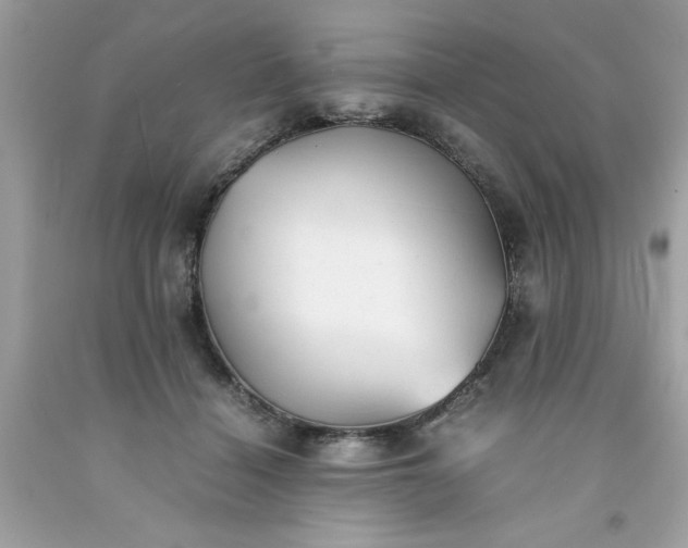 X0000091660460200709061024