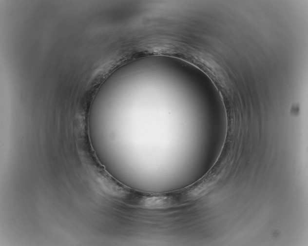 X0000091660461200709061024