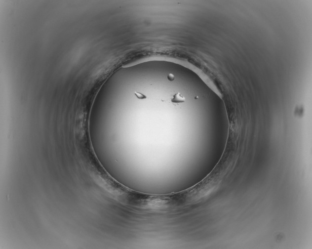 X0000091660462200709061024