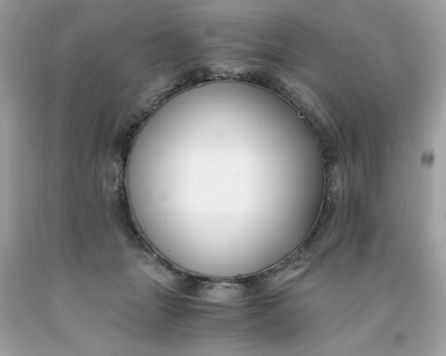 X0000091660463200709061024