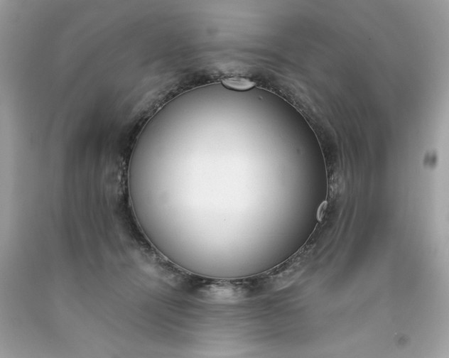 X0000091660464200709061024