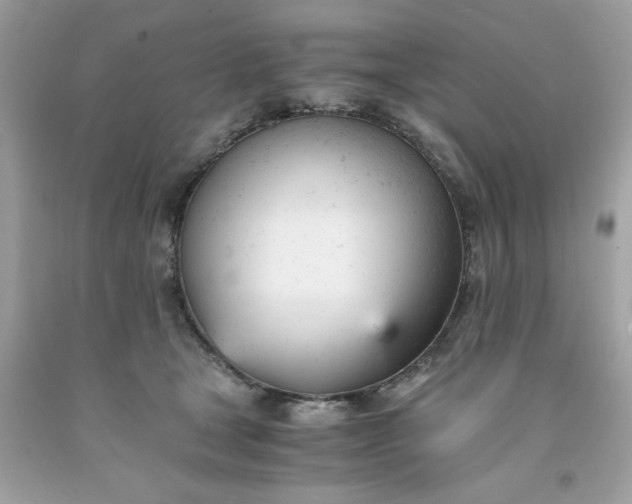 X0000091660465200709061024