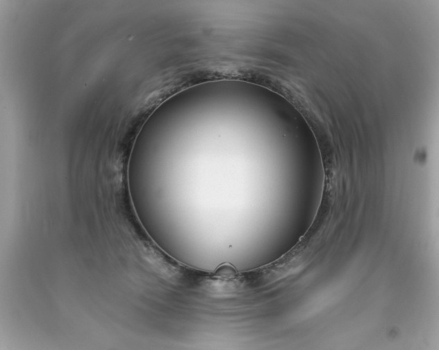 X0000091660466200709061024