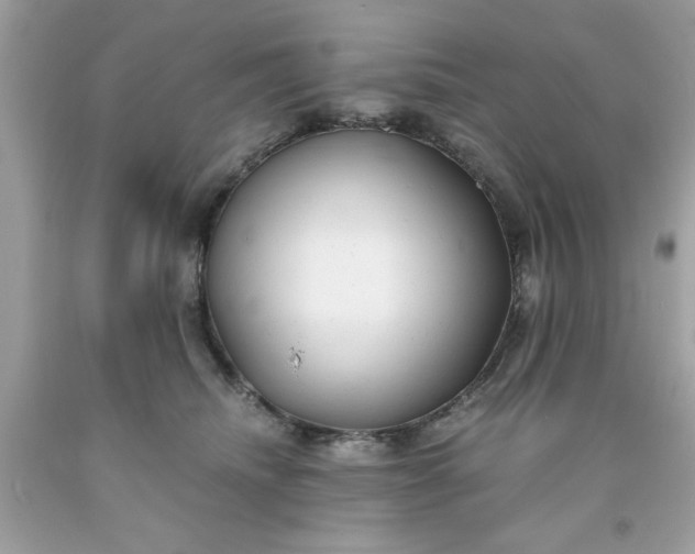 X0000091660468200709061024