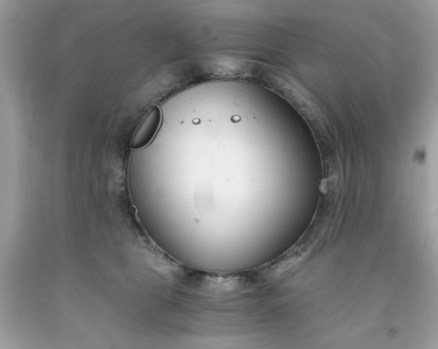 X0000091660469200709061024