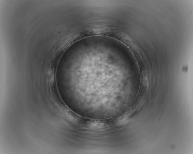 X0000091660471200709061024