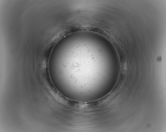 X0000091660472200709061024