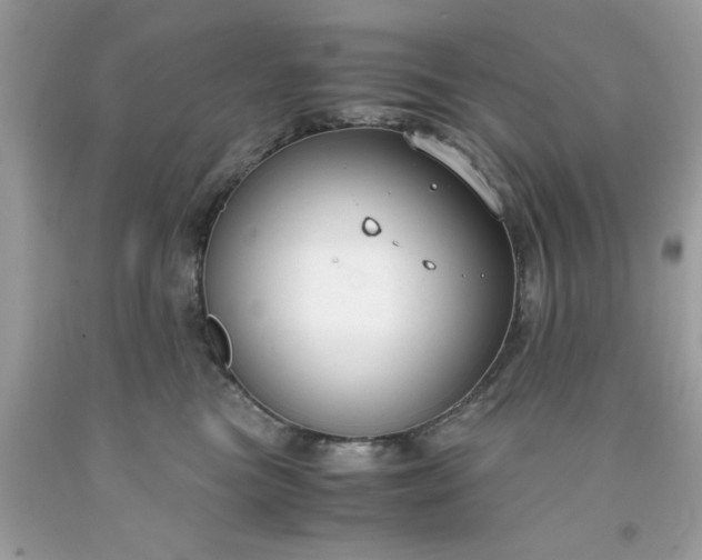 X0000091660473200709061024