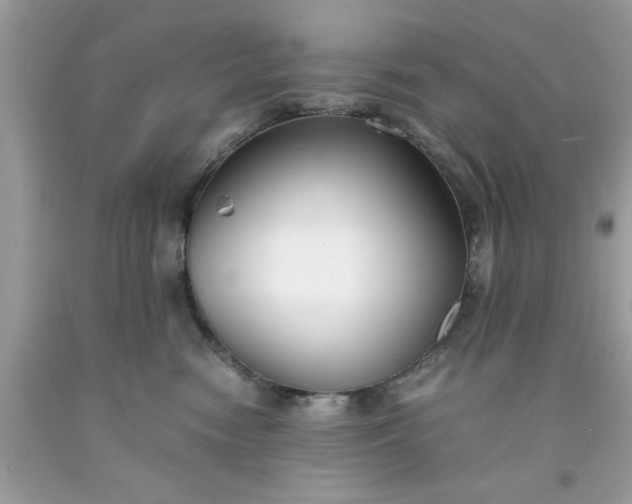 X0000091660474200709061024