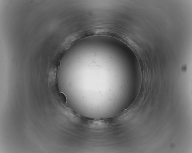 X0000091660475200709061024