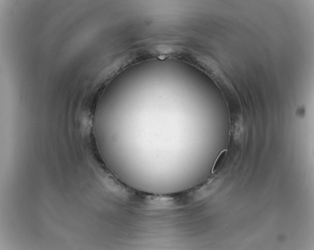 X0000091660476200709061024