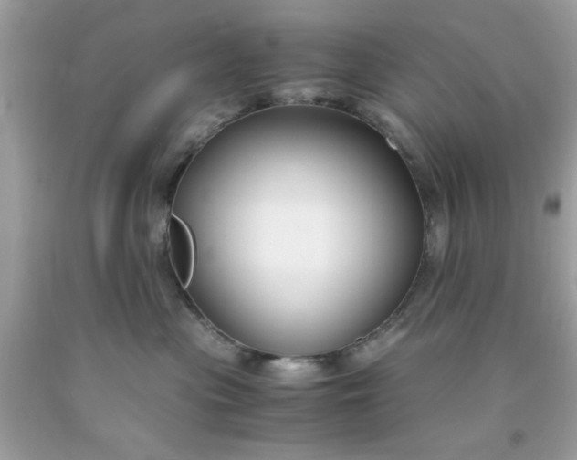 X0000091660477200709061024