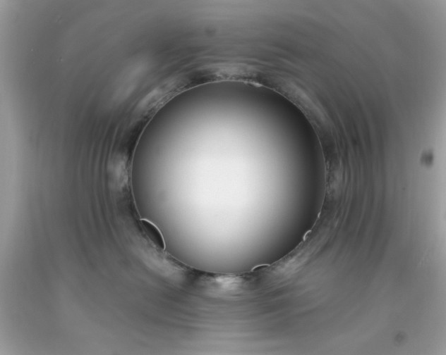 X0000091660478200709061024