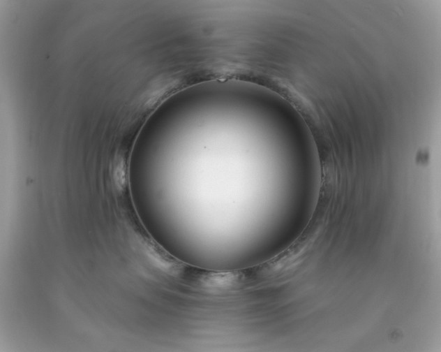 X0000091660479200709061024