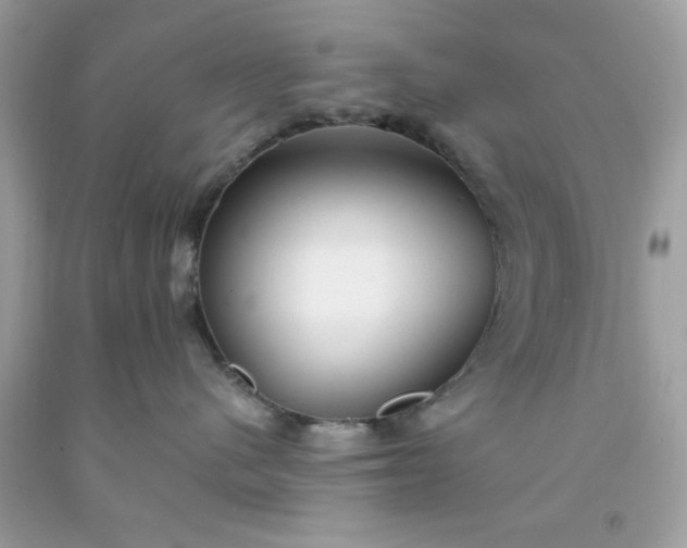 X0000091660480200709061024